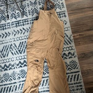 The North Face Freedom Ski/Snowboard Bib Pants